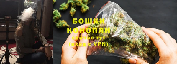 ГАЛЛЮЦИНОГЕННЫЕ ГРИБЫ Краснослободск