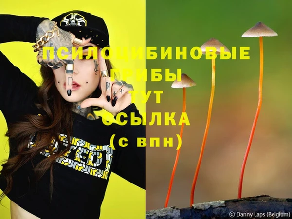 Альфа ПВП Краснотурьинск