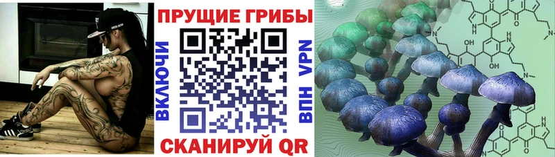 Галлюциногенные грибы Cubensis  дарнет шоп  Шали 
