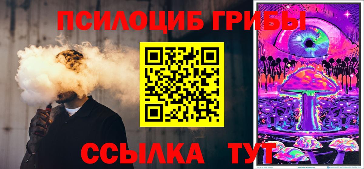 Шали  Галлюциногенные грибы Magic Shrooms  Вход с VPN  купить  цена  Галлюциногенные грибы GOLDEN TEACHER 