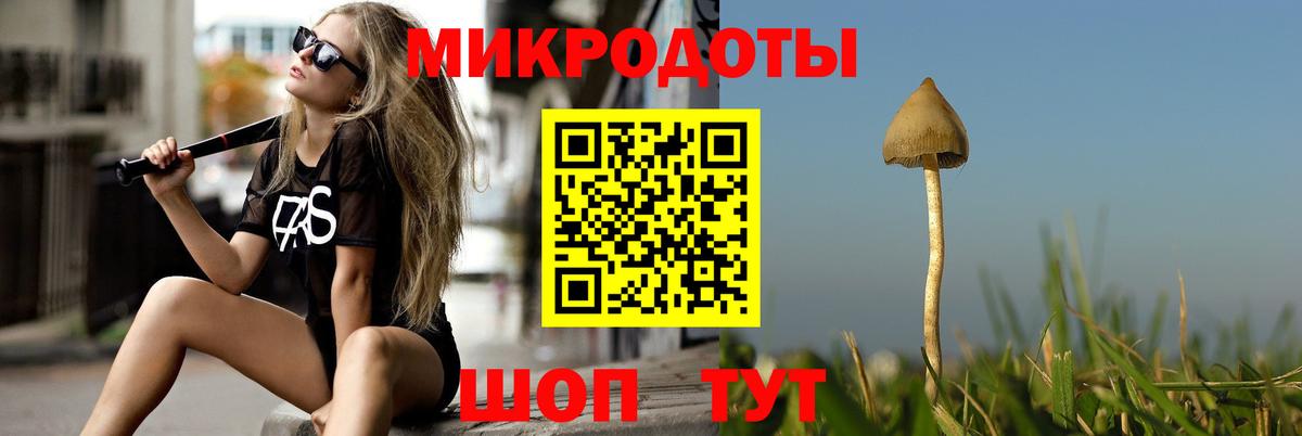 Псилоцибиновые грибы мухоморы Шали